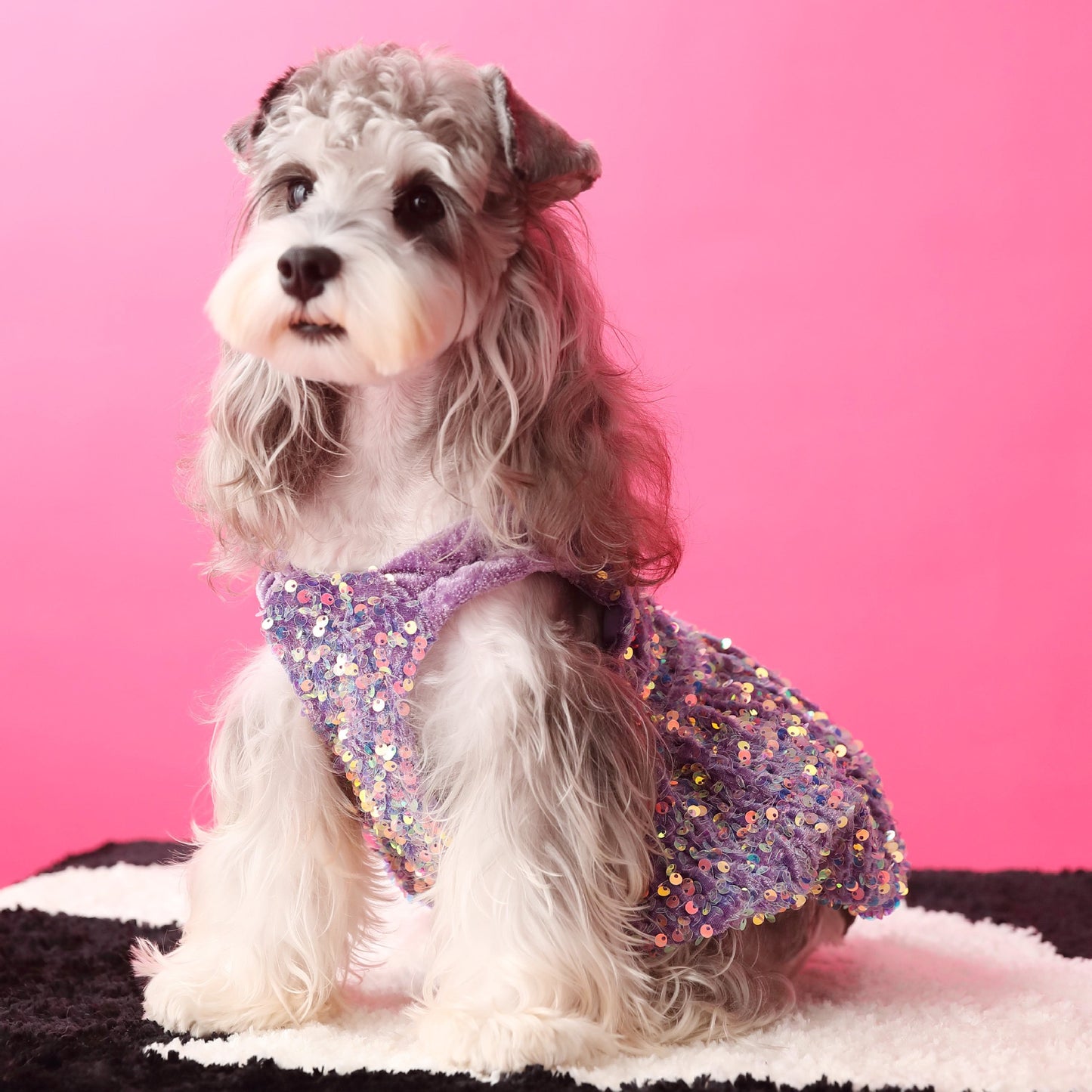 Autumn/Winter Purple Sequin Dress