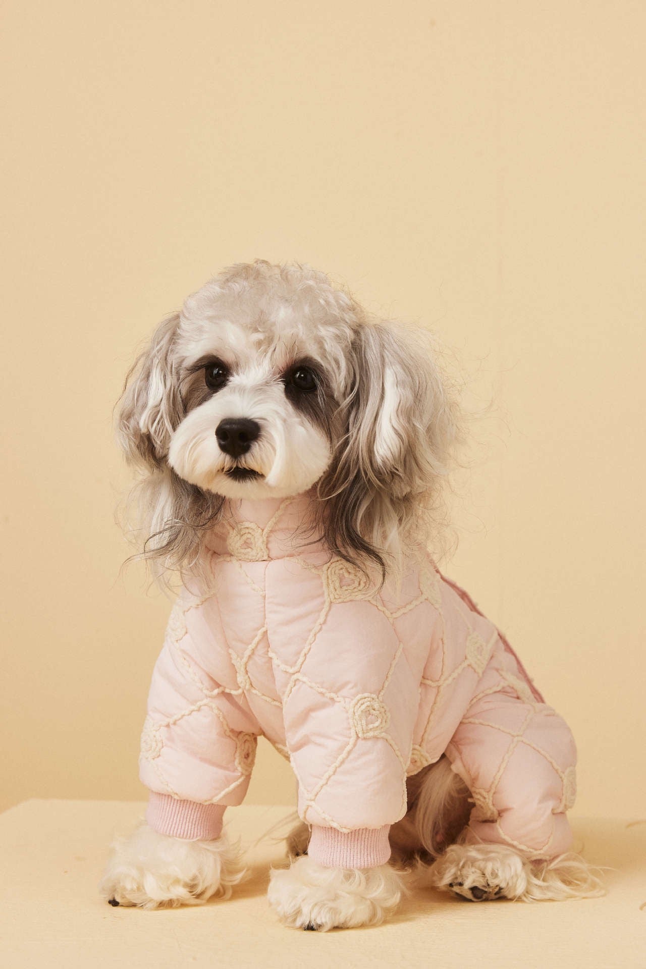 4-Leg Lightweight Puffer Jacket for Small Dogs