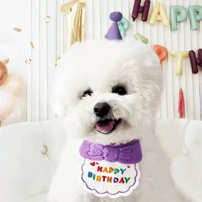 Birthday Party Set