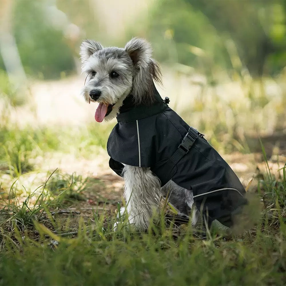Rain Jacket for Small & Medium Dogs