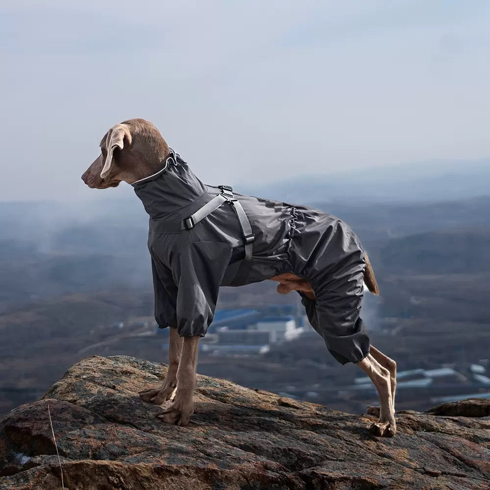 4-Leg Raincoat for Large Dogs