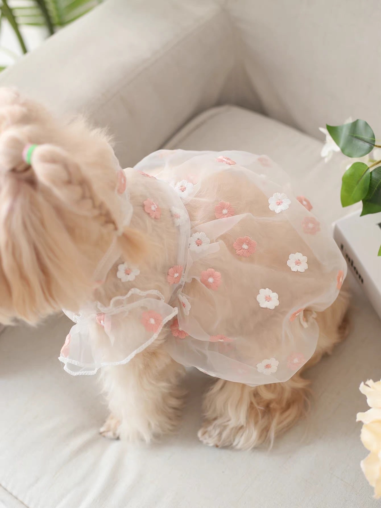 Organza Gown