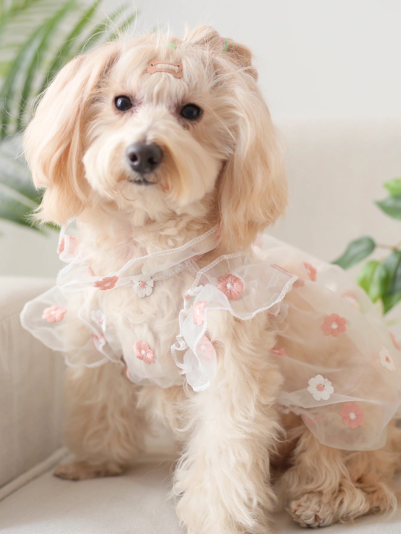 Organza Gown