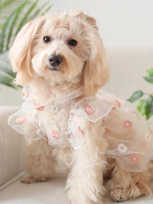 Organza Gown