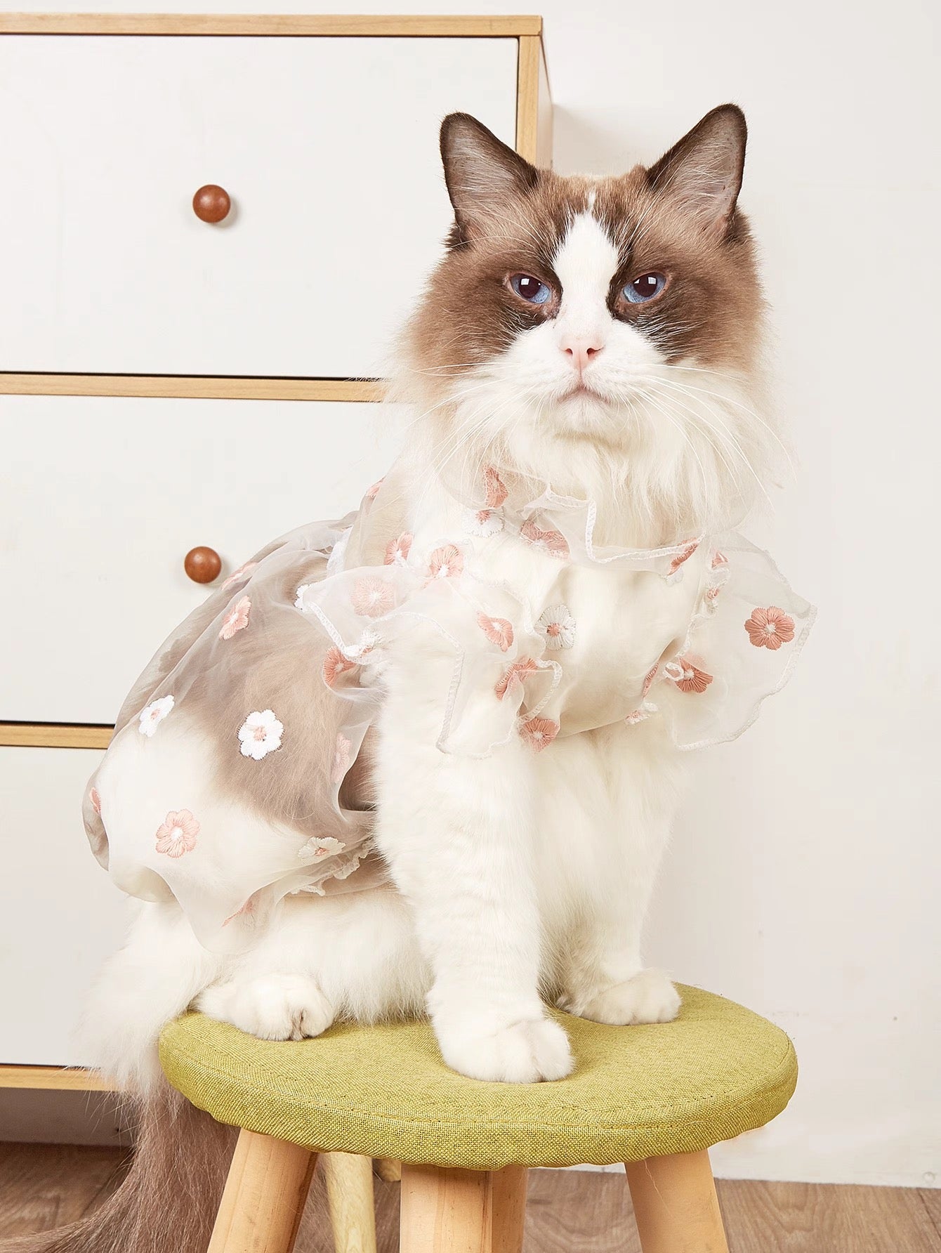Organza Gown