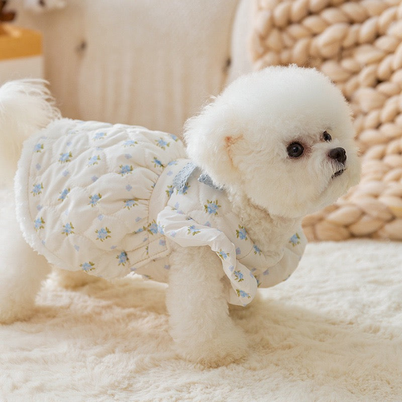 Winter Cotton Dress for Small Dogs – Soft & Elegant Style
