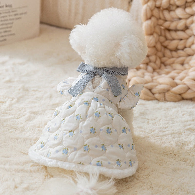 Winter Cotton Dress for Small Dogs – Soft & Elegant Style