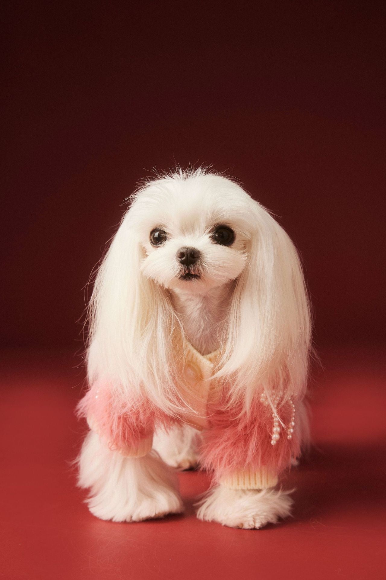 Pink Pearl Sweater