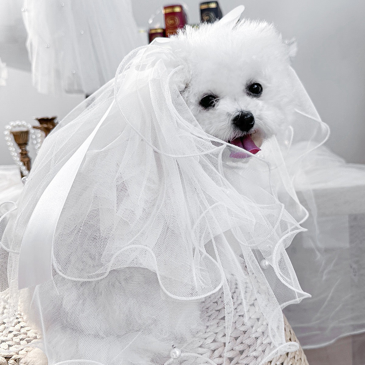 Pet Veil