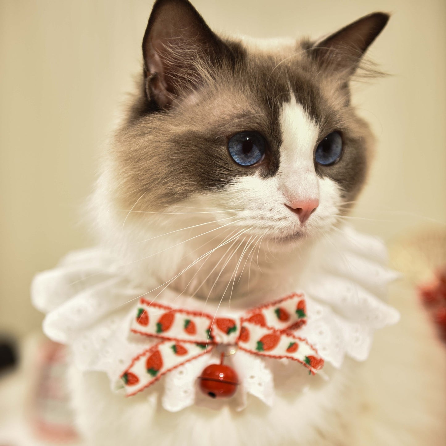 Little Bell Bandana