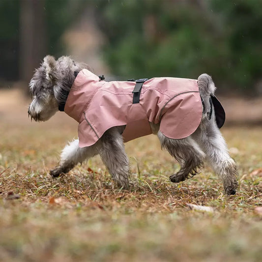 Rain Jacket for Small & Medium Dogs