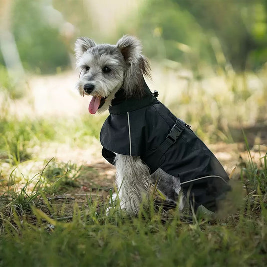 Rain Jacket for Small & Medium Dogs