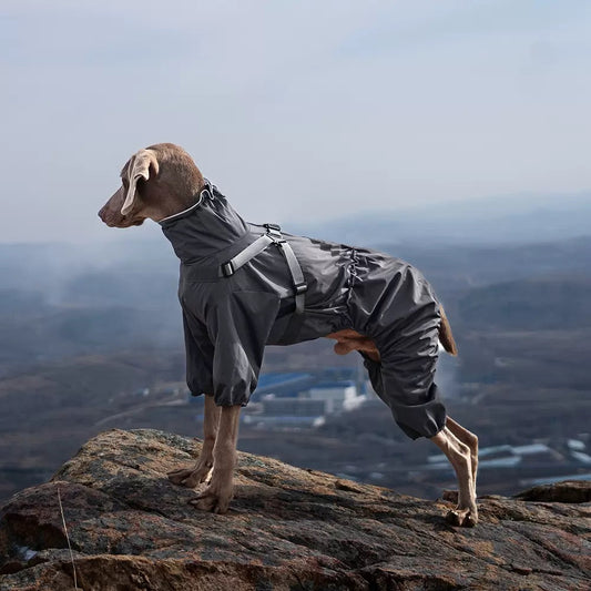 4-Leg Raincoat for Large Dogs